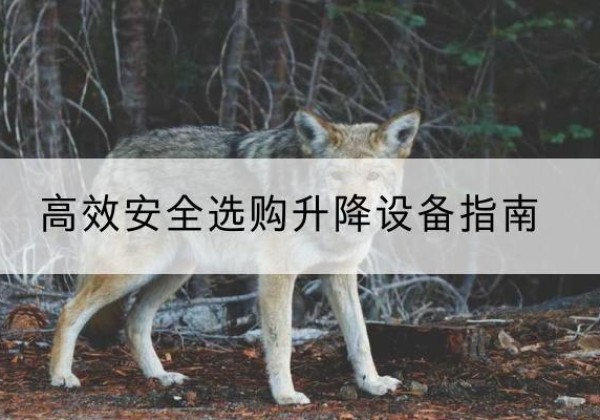 咸丰升降货梯厂家推荐-*安全选购升降设备指南