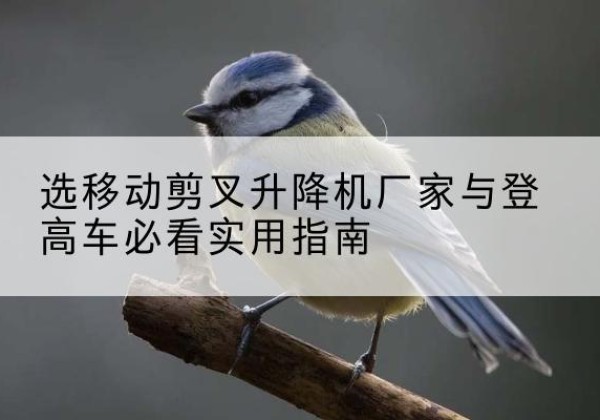 咸丰电动升降机厂家-选移动剪叉升降机厂家与登高车必看实用指南