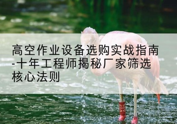 咸丰剪叉式升降机厂家-高空作业设备选购实战指南-十年工程师揭秘厂家筛选核心法则